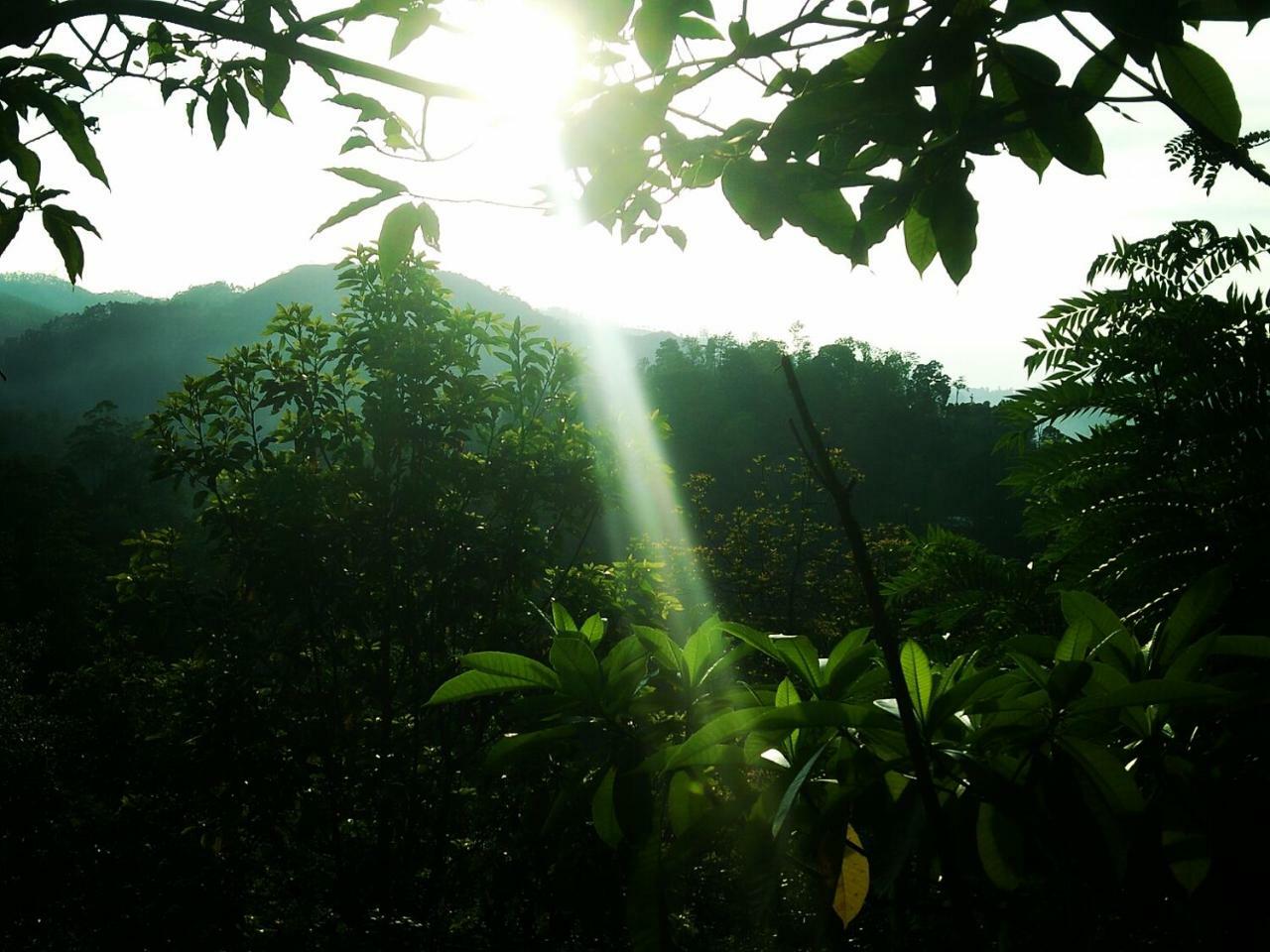 Apartmán Green Jungle " Cool View" Ella Exteriér fotografie