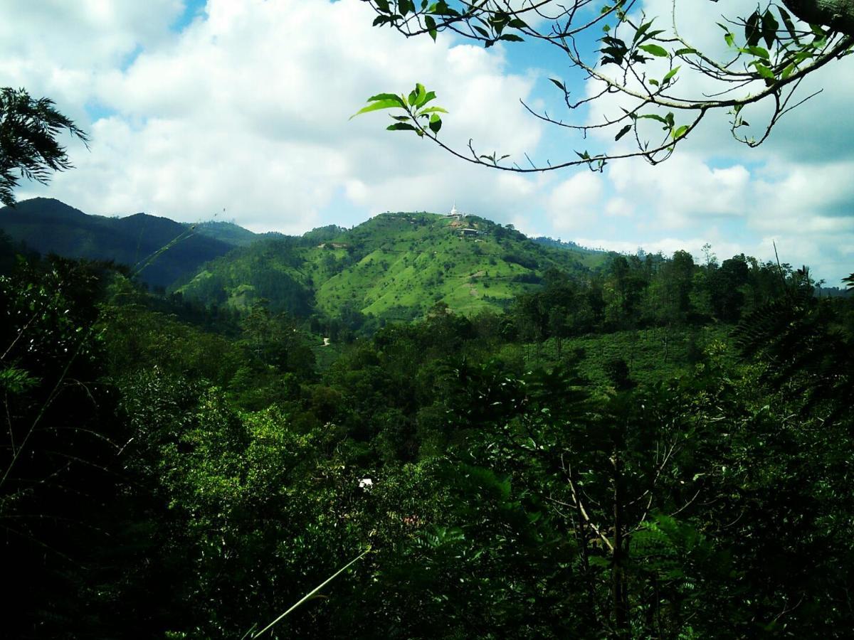 Apartmán Green Jungle " Cool View" Ella Exteriér fotografie